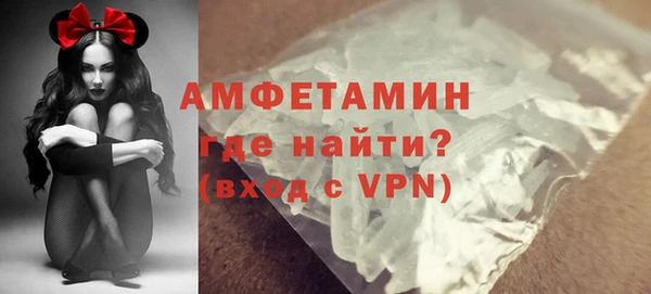 прущие грибы Аркадак
