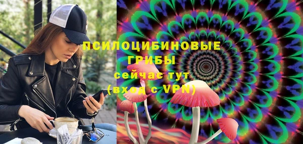 стафф Арсеньев