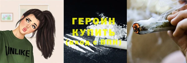 прущие грибы Аркадак