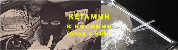 стафф Арсеньев