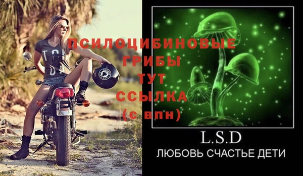 стафф Арсеньев