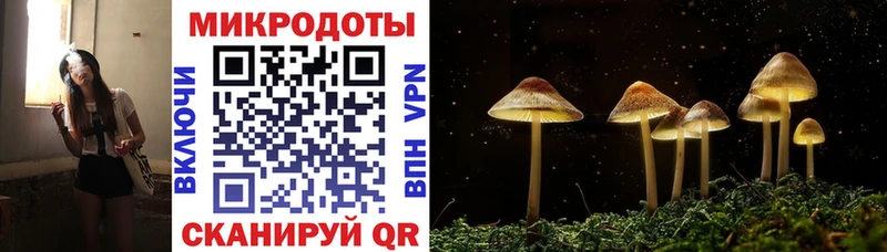 наркота  Зеленоградск  Галлюциногенные грибы MAGIC MUSHROOMS 